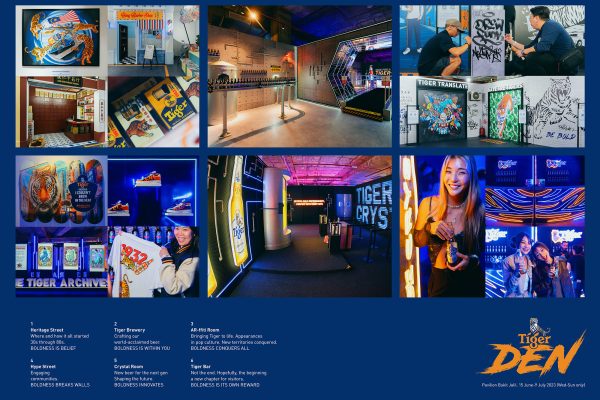 Article detailing the approach and achieved KPIs of the Tiger Den experiential.
